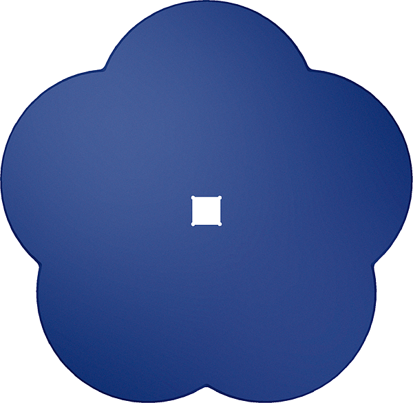 Disc with 5 Lobé type petals